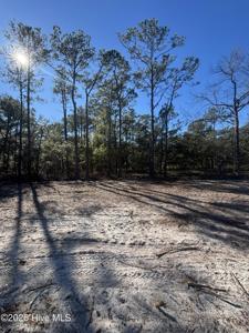 Lot 111 Egret Walk Court
