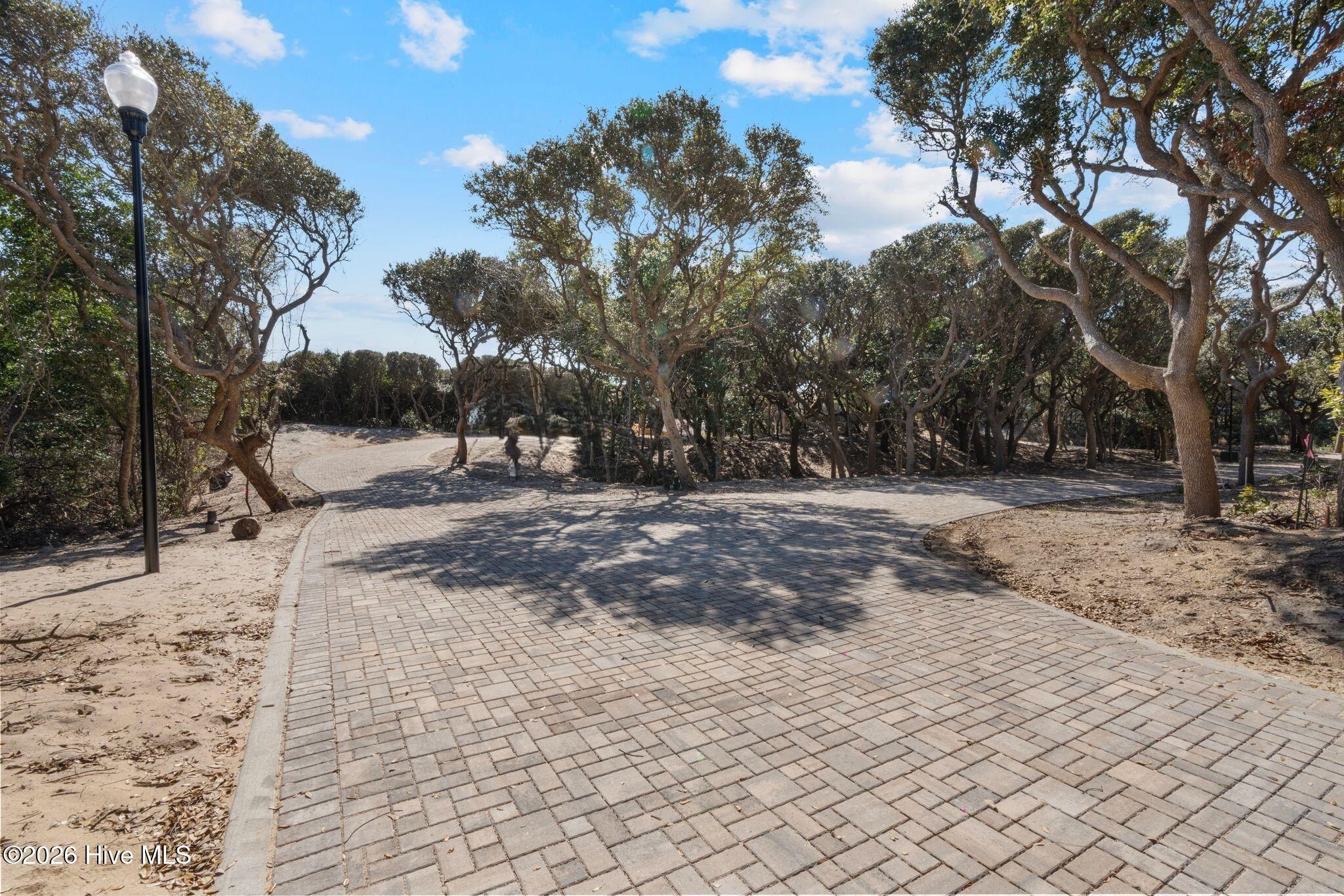 Image 4: Charming Paver Roadway