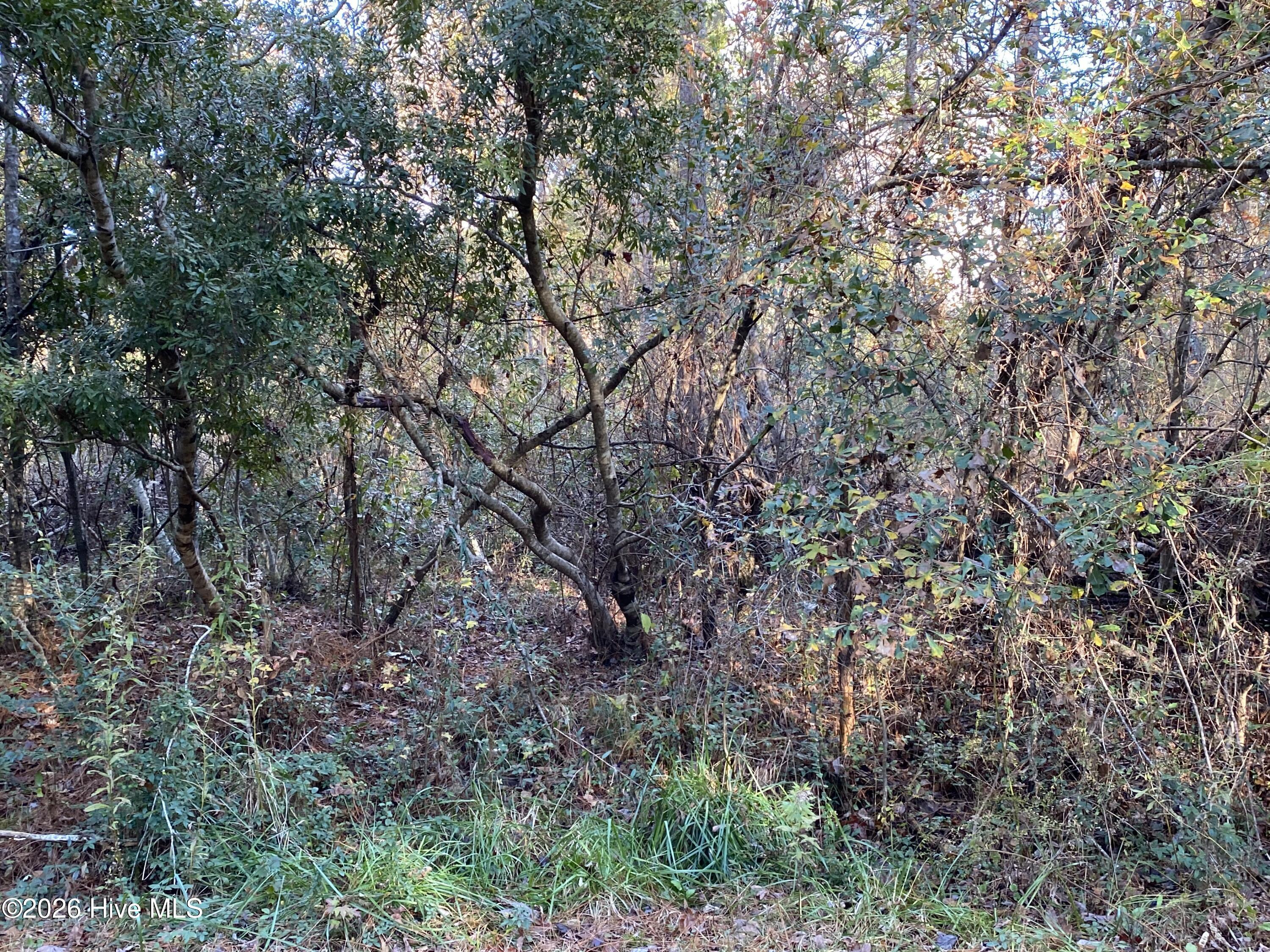 Image 1: 255 Wards Ln