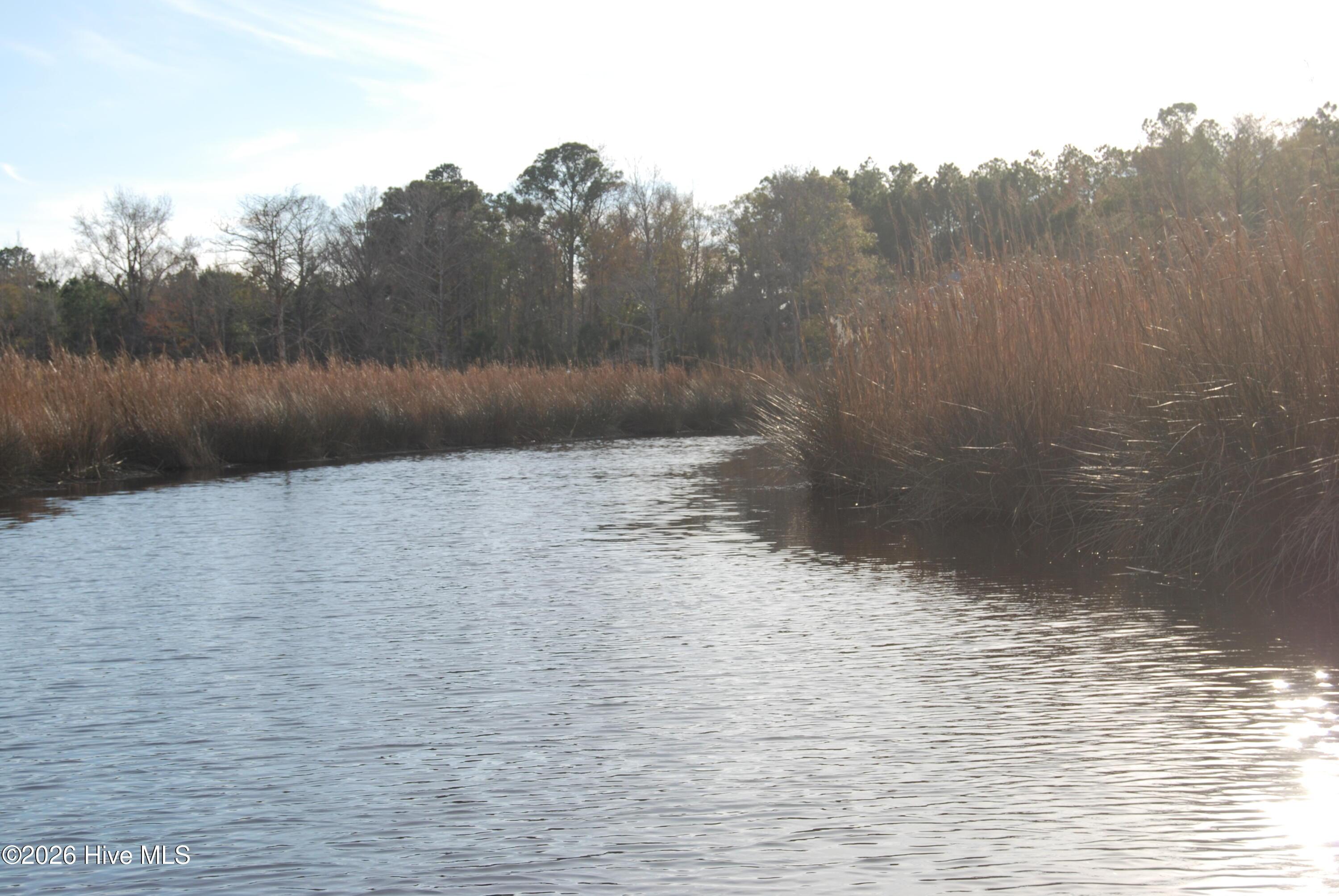 Image 4: Mitchells Creek