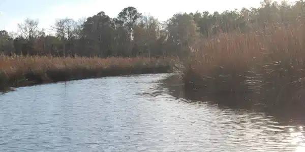 Image 4: Mitchells Creek