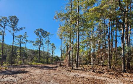 Lot 133 Coral Gull Street