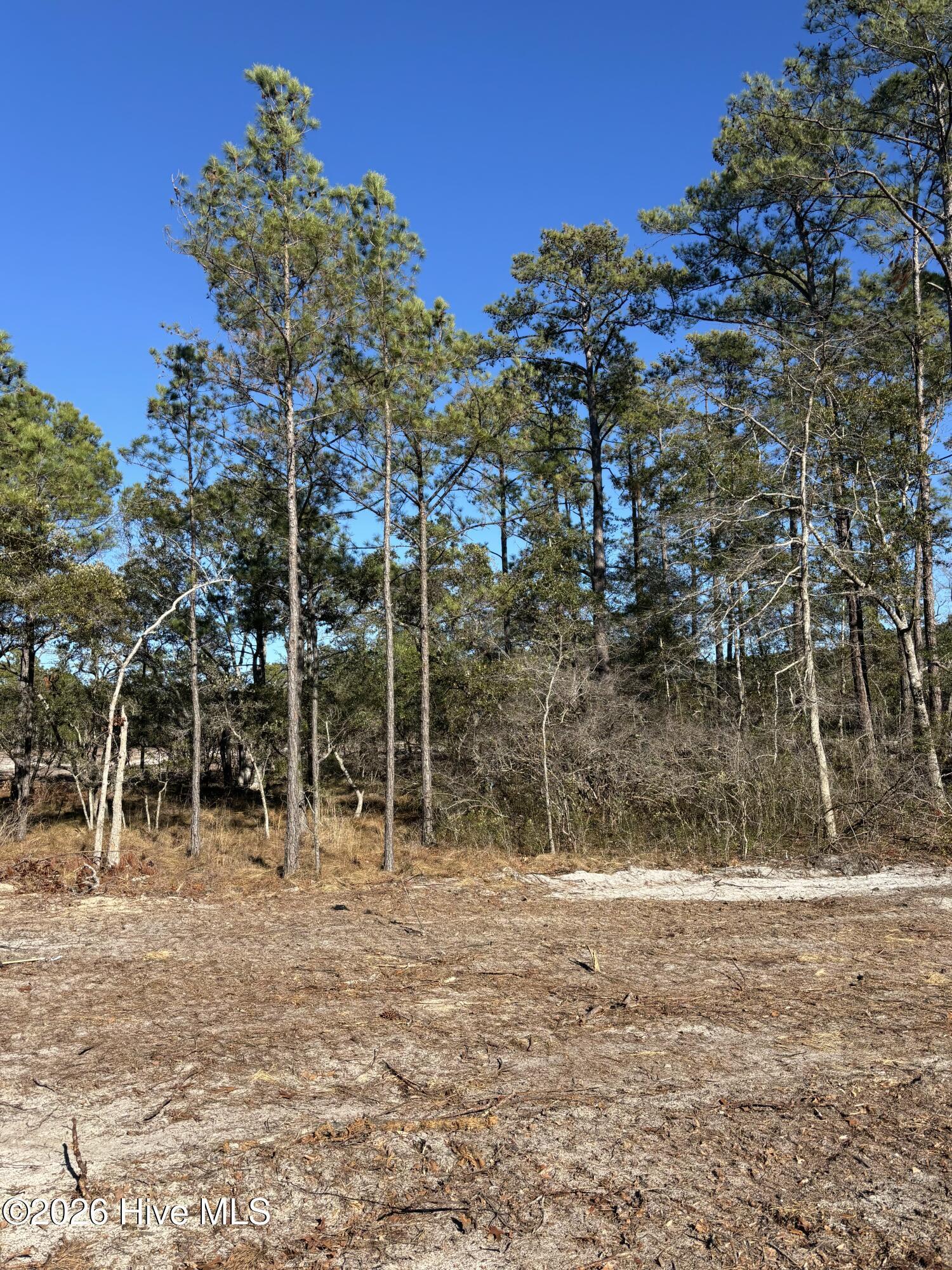 Image 1: Lot 143