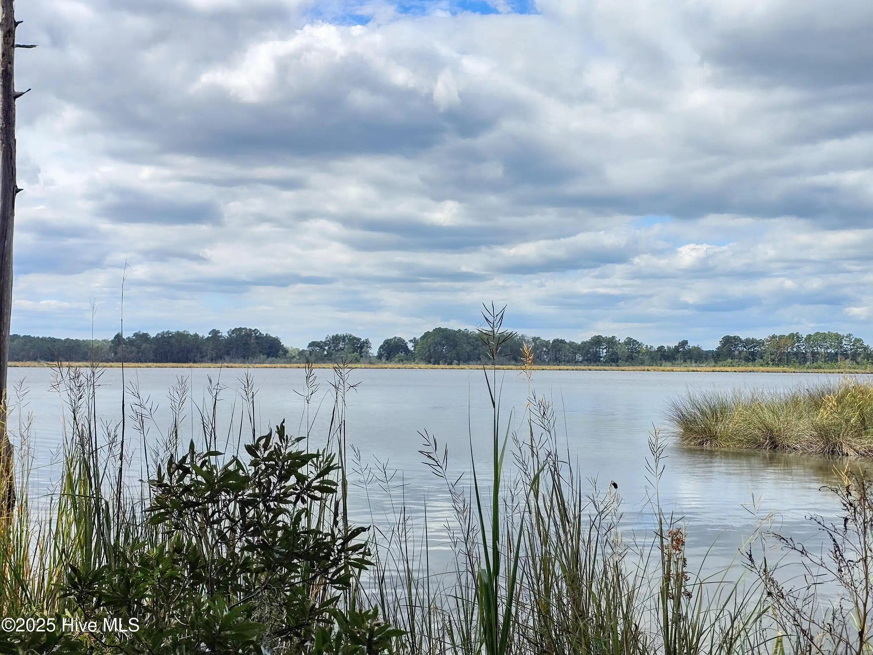 Image 1: 20250912_130930b