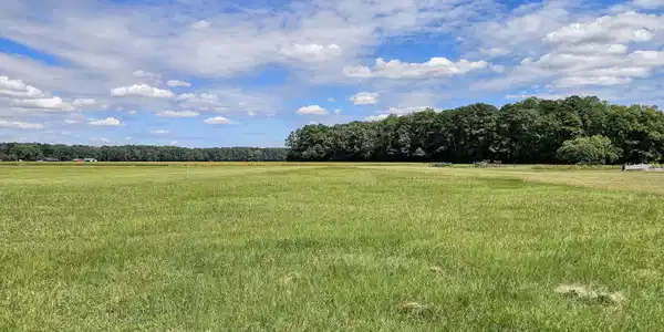 Image 3: 20250912_131646b