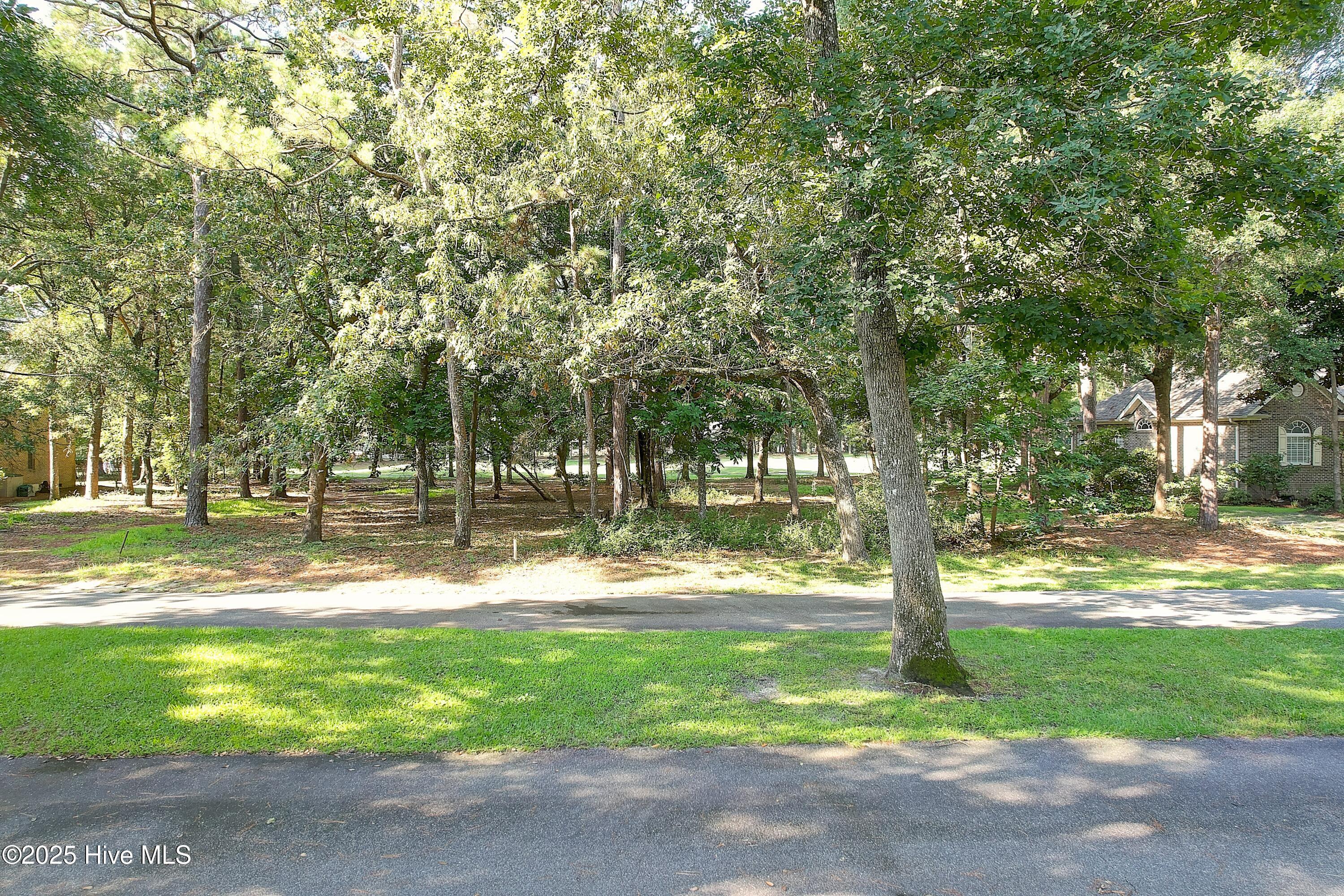 Image 1: Front of lot