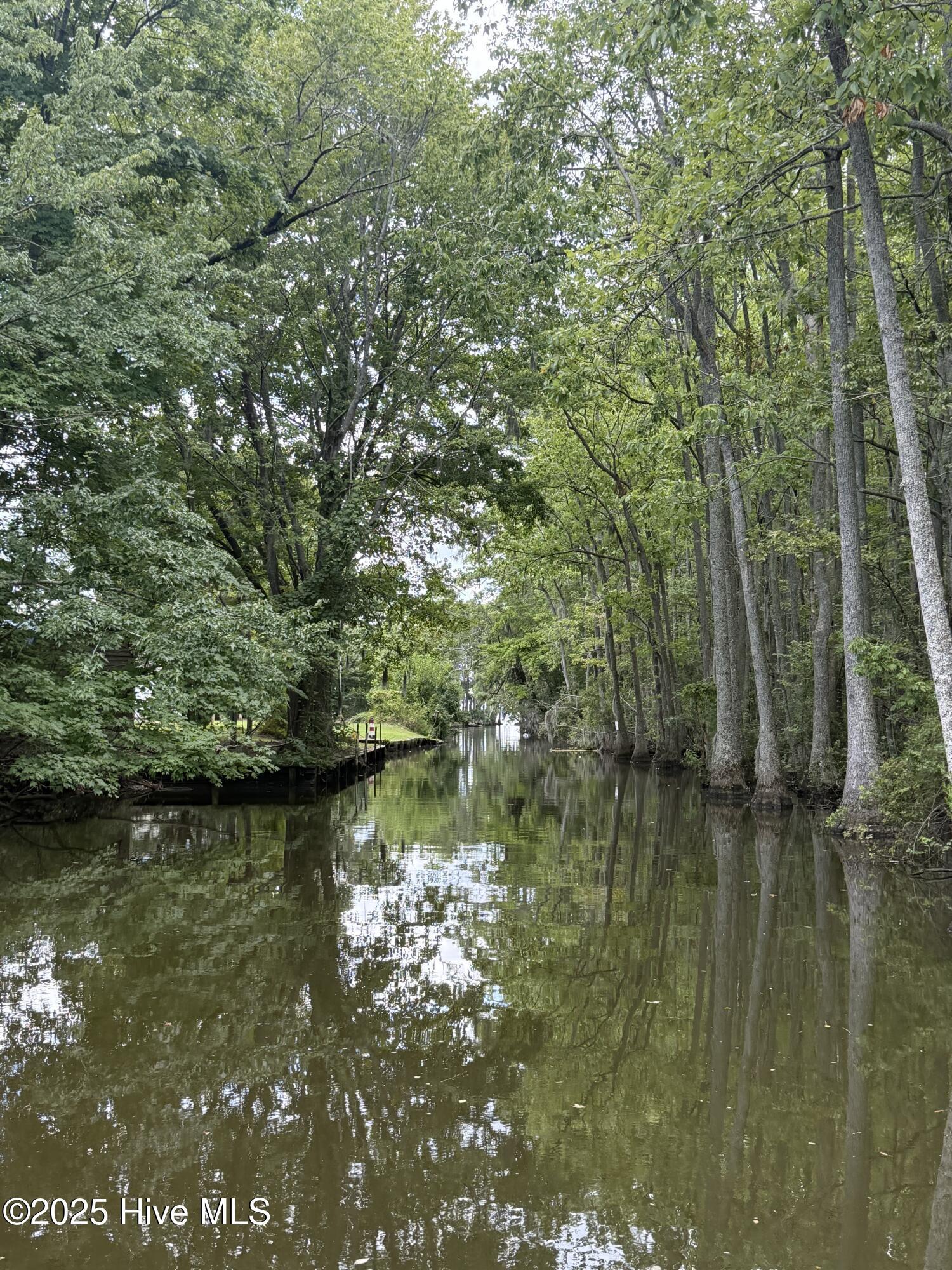 Image 2: Creek
