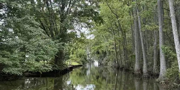 Image 2: Creek