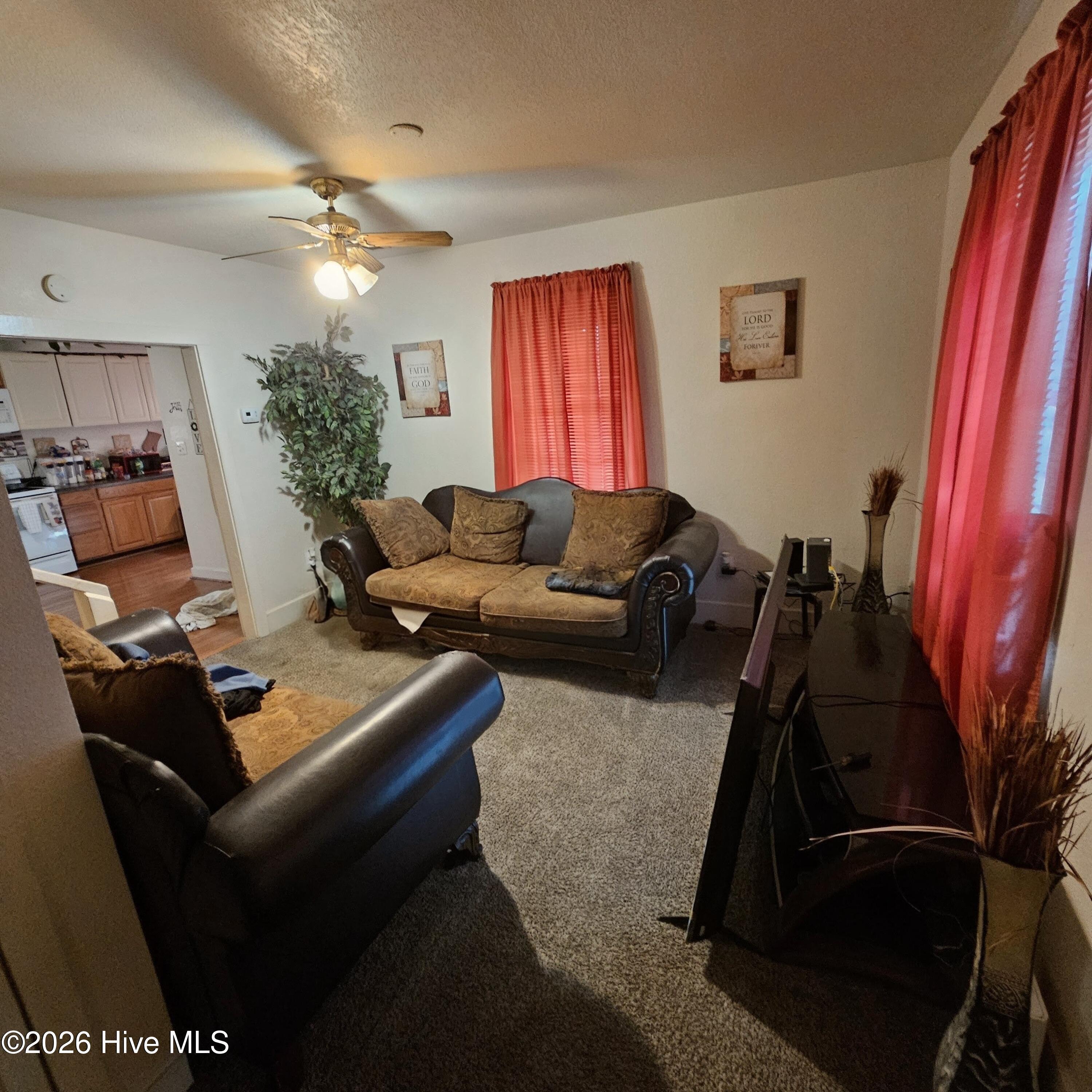 Image 3: Living Room