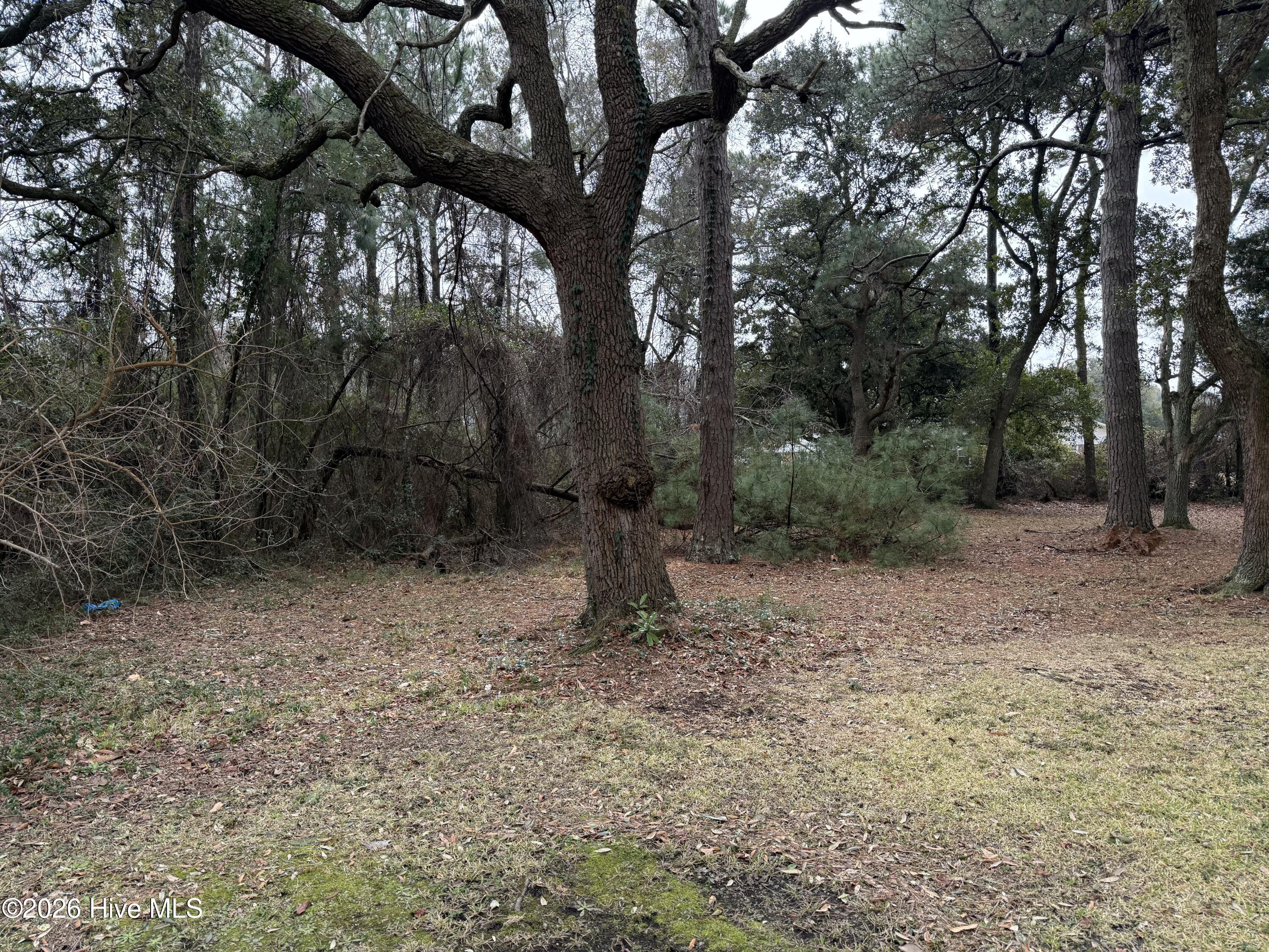 Image 2: IMG_1803