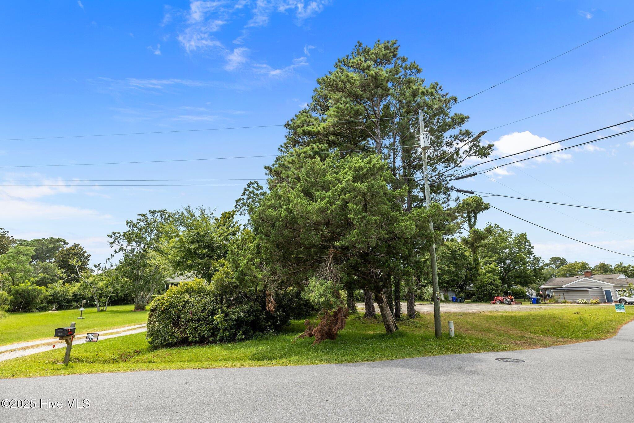 Image 4: 201 & 203 Sherwood Blvd