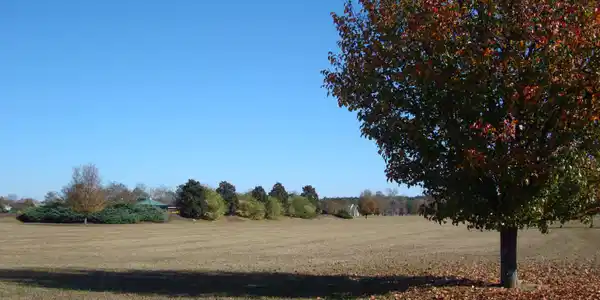 21 Meadow Lane