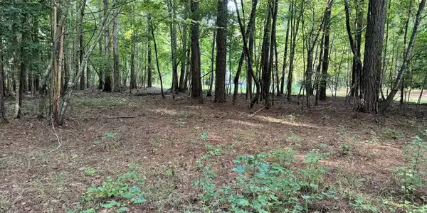 81 Beans Bend