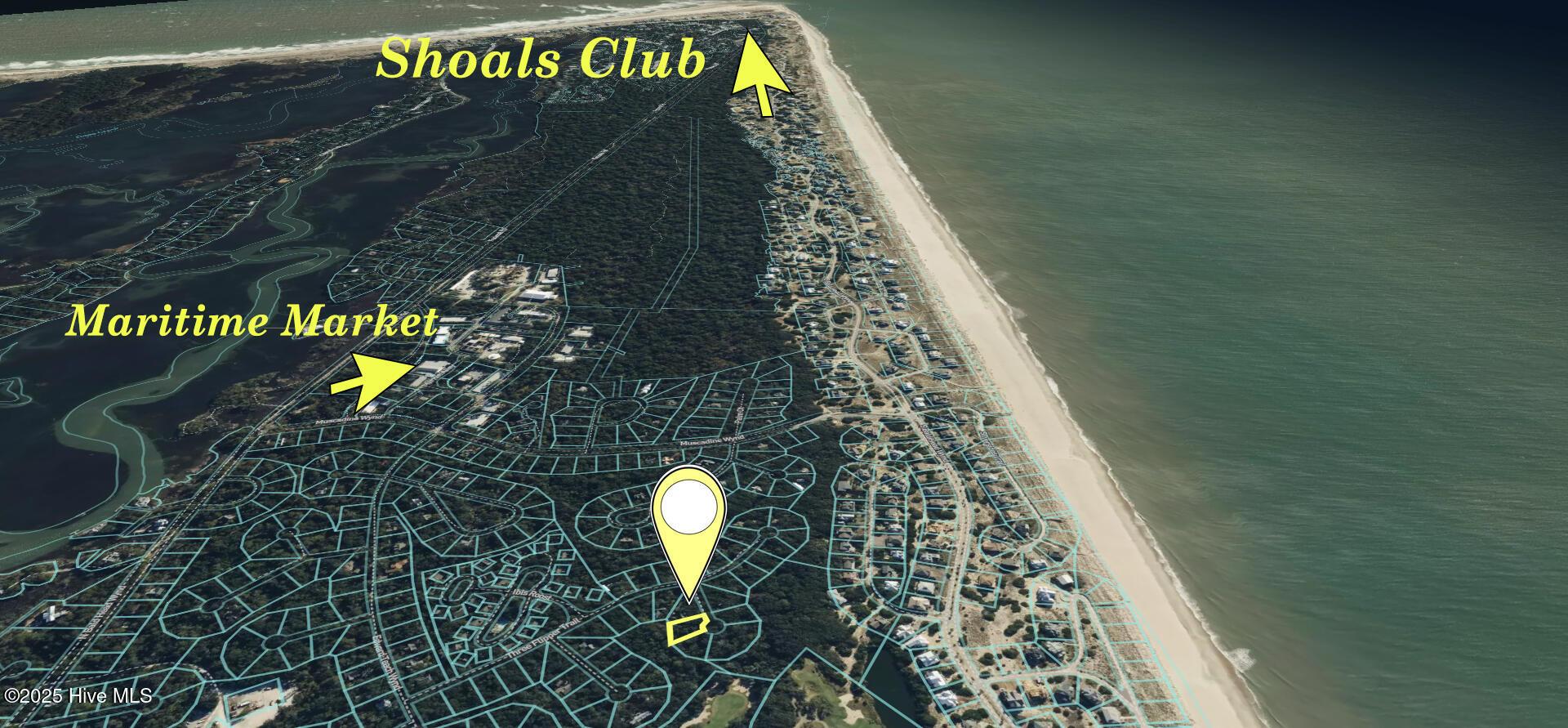 Image 3: 5lpmap2