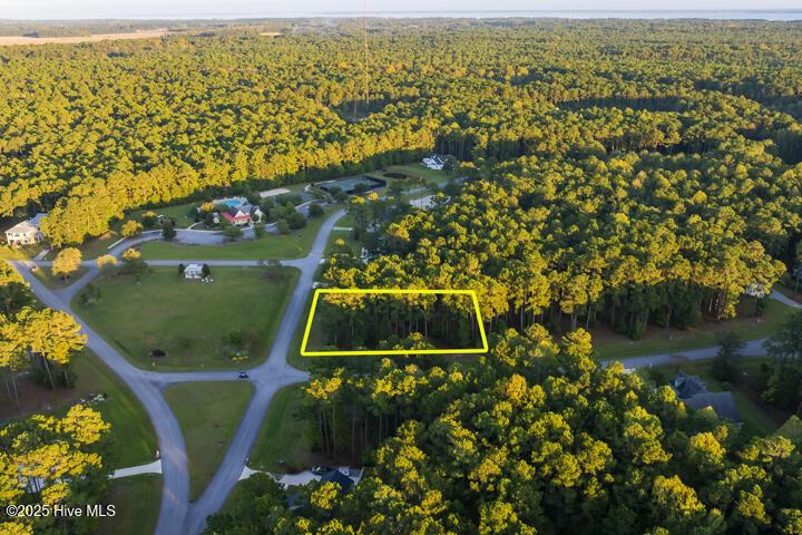 Image 3: Walking Distance to Clubhouse & Pool