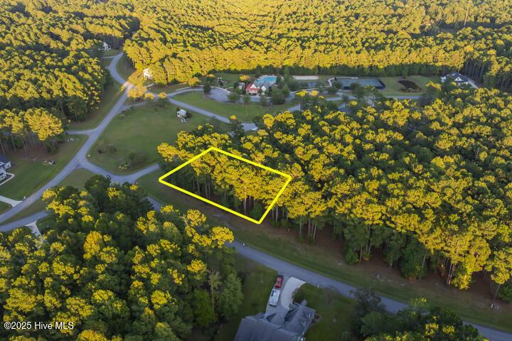 Image 4: Walking Distance to Clubhouse & Pool