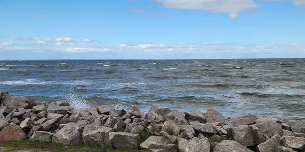 Image 3: 20251009_144716