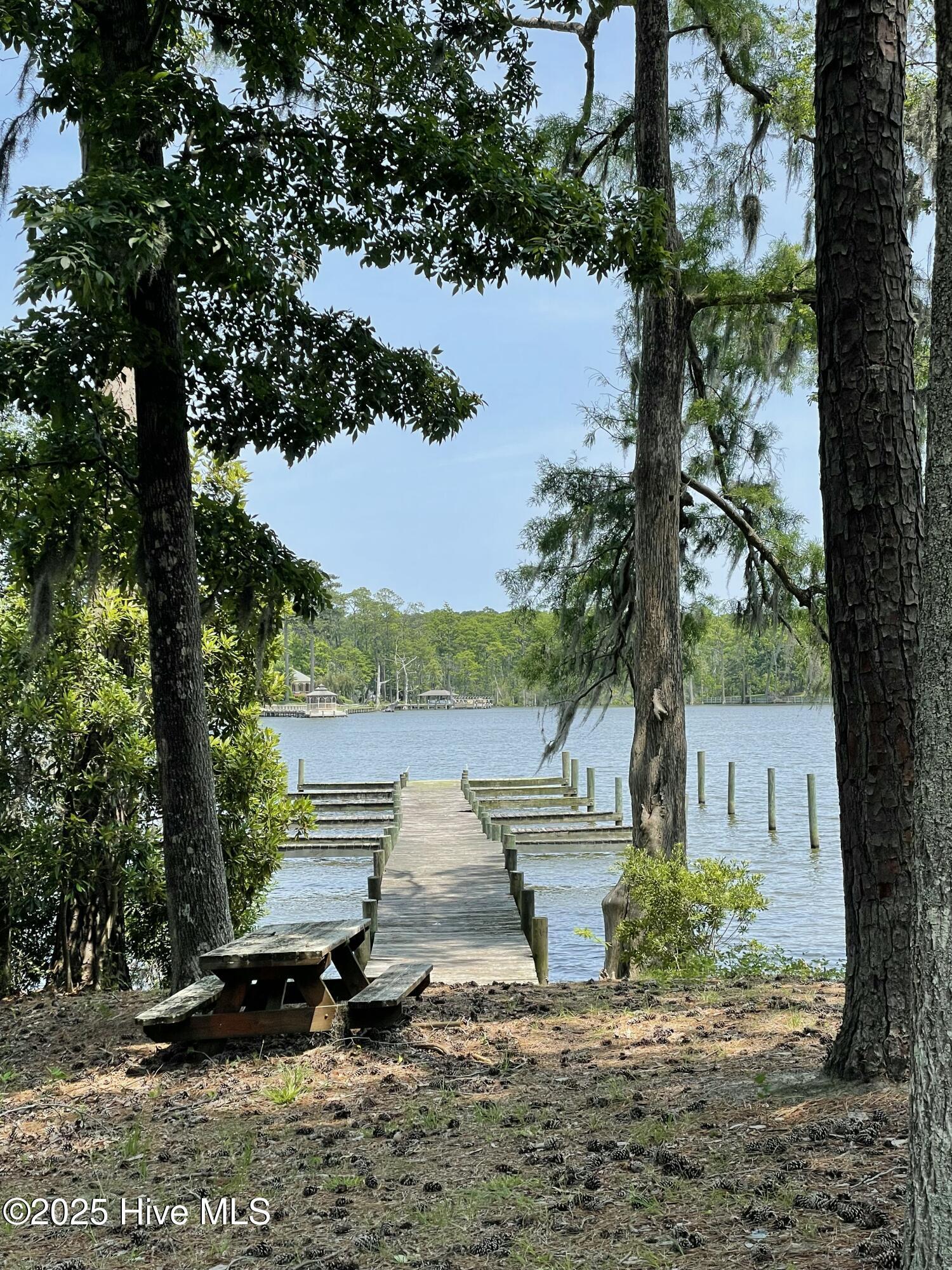 Image 2: Community Boat Dock