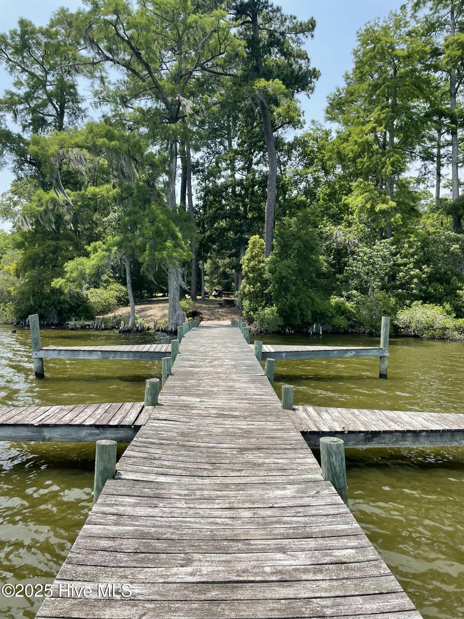 Image 3: Community Boat Dock