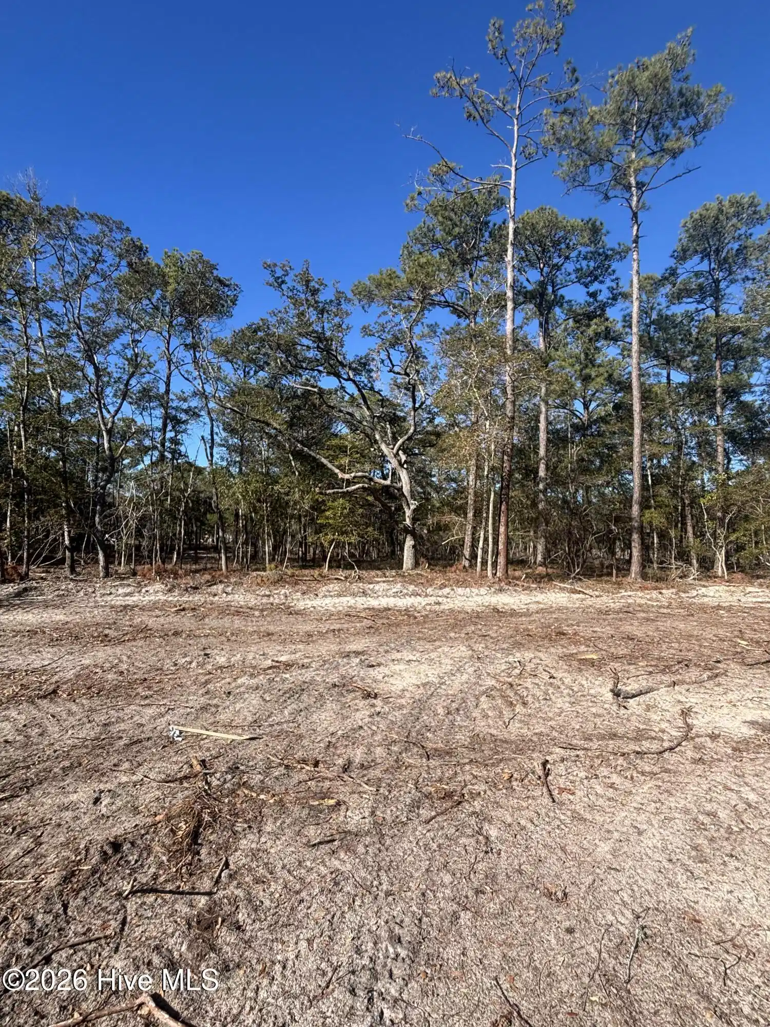 Image 1: Lot 113