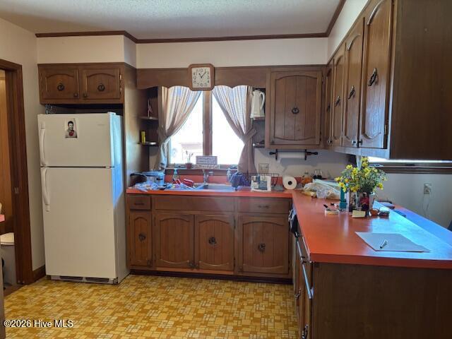 Image 4: IMG_8249