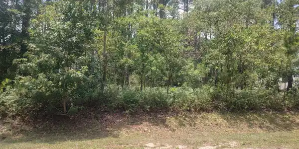 906 Bee Tree Court