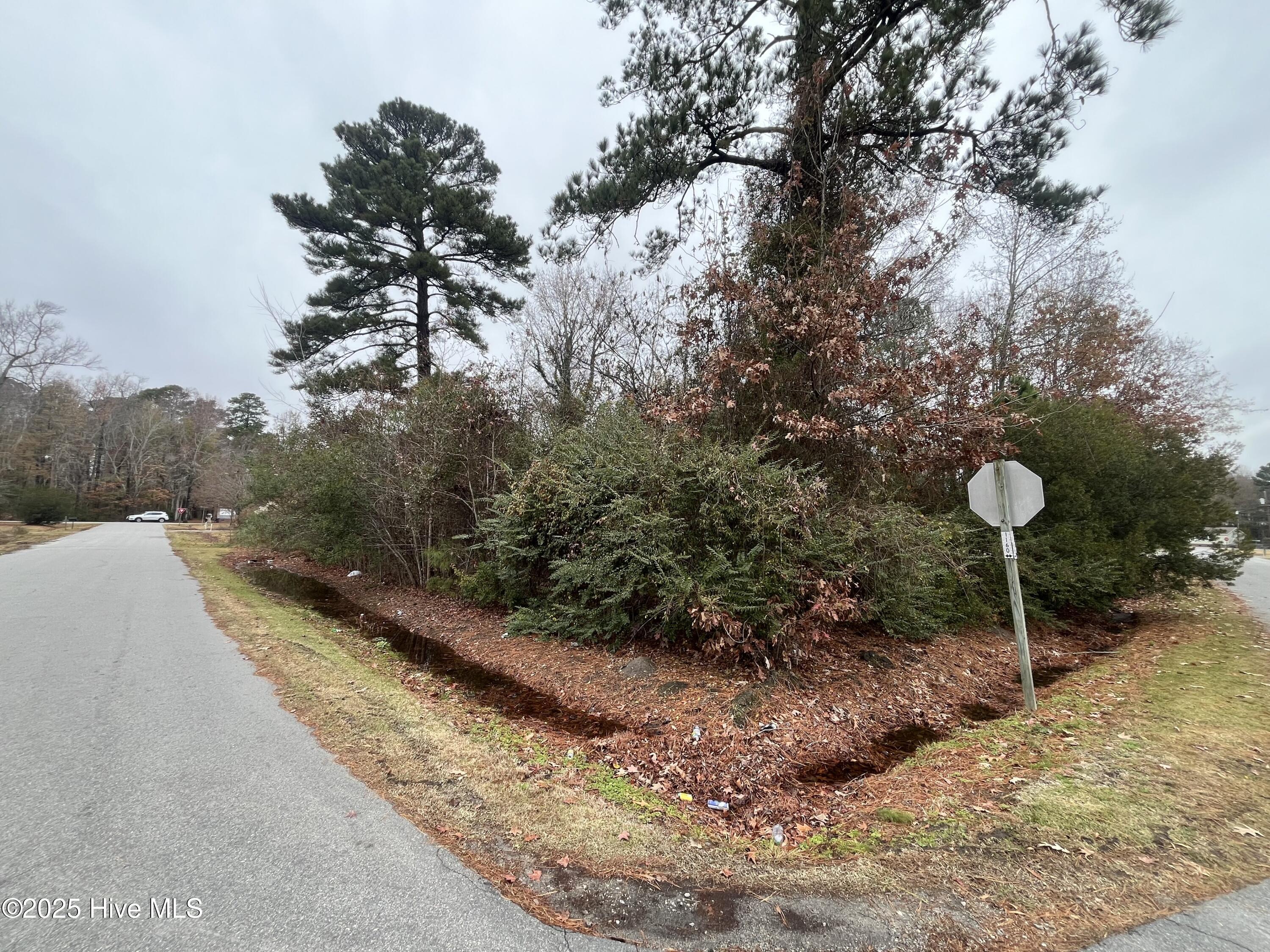 Image 1: Corner Lot