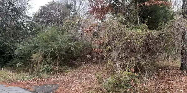 140 Magnolia Drive