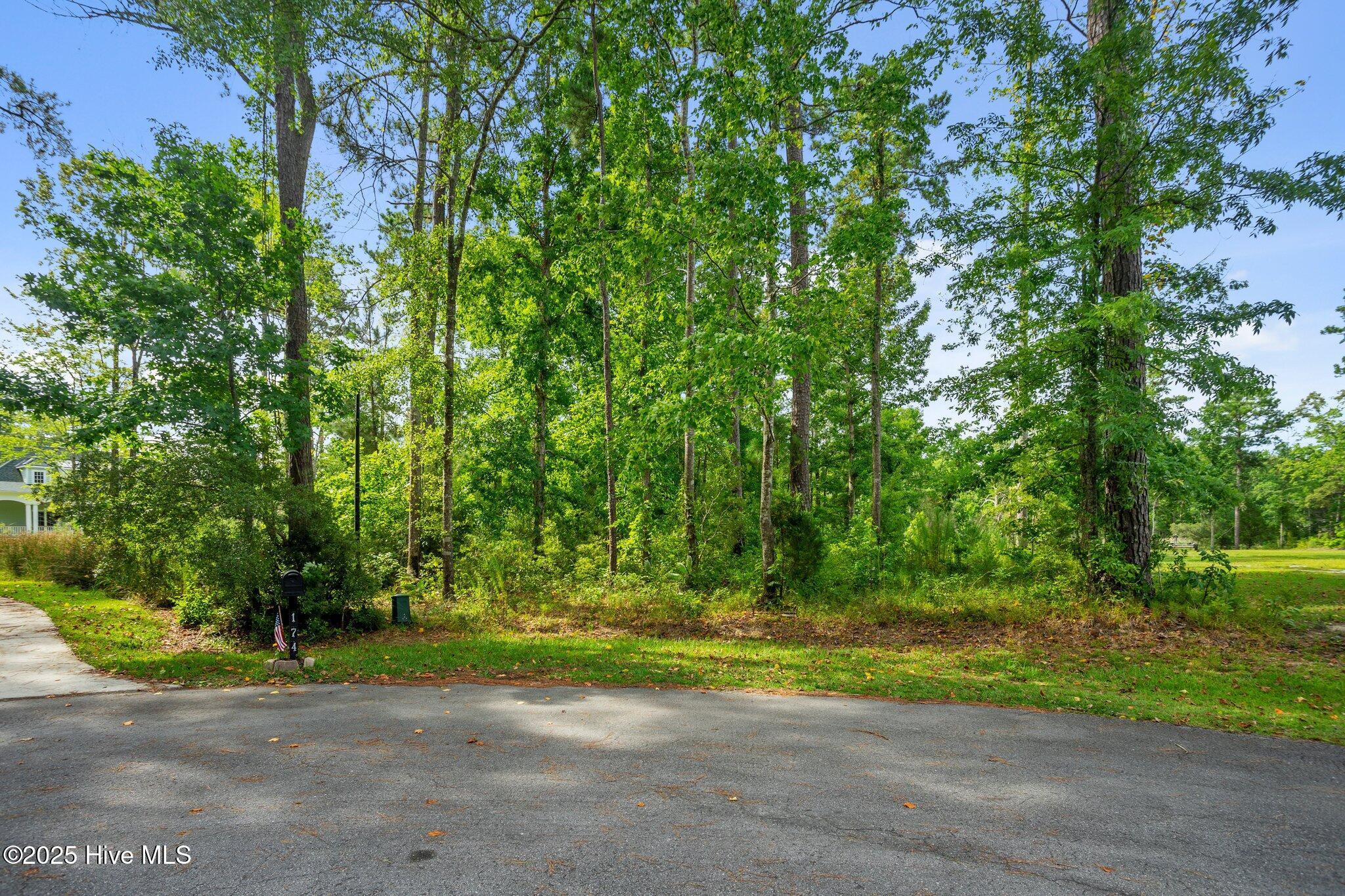 Image 3: 3-web-or-mls-DSC00977