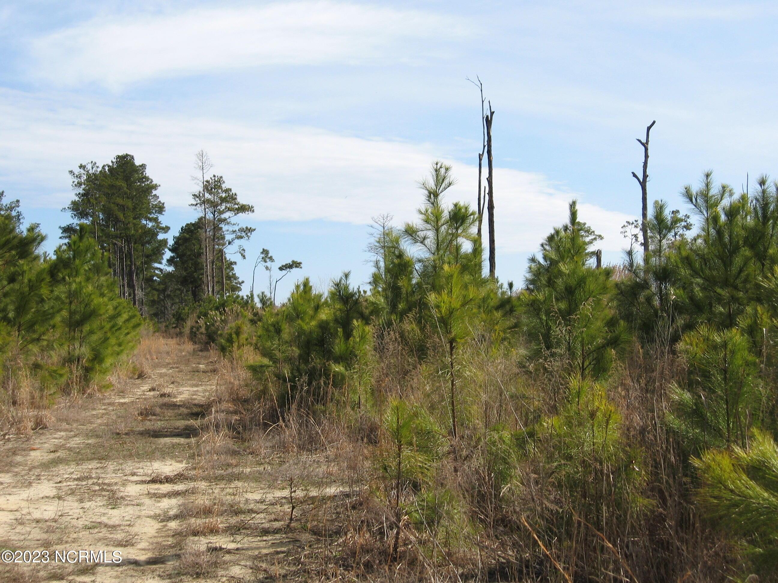 Image 1: Land View