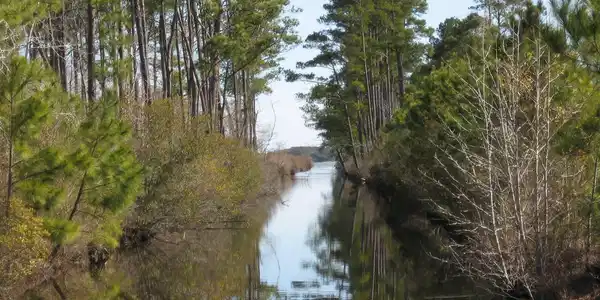 Image 2: Canal View 2