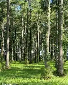 Image 4: Lot 95 6