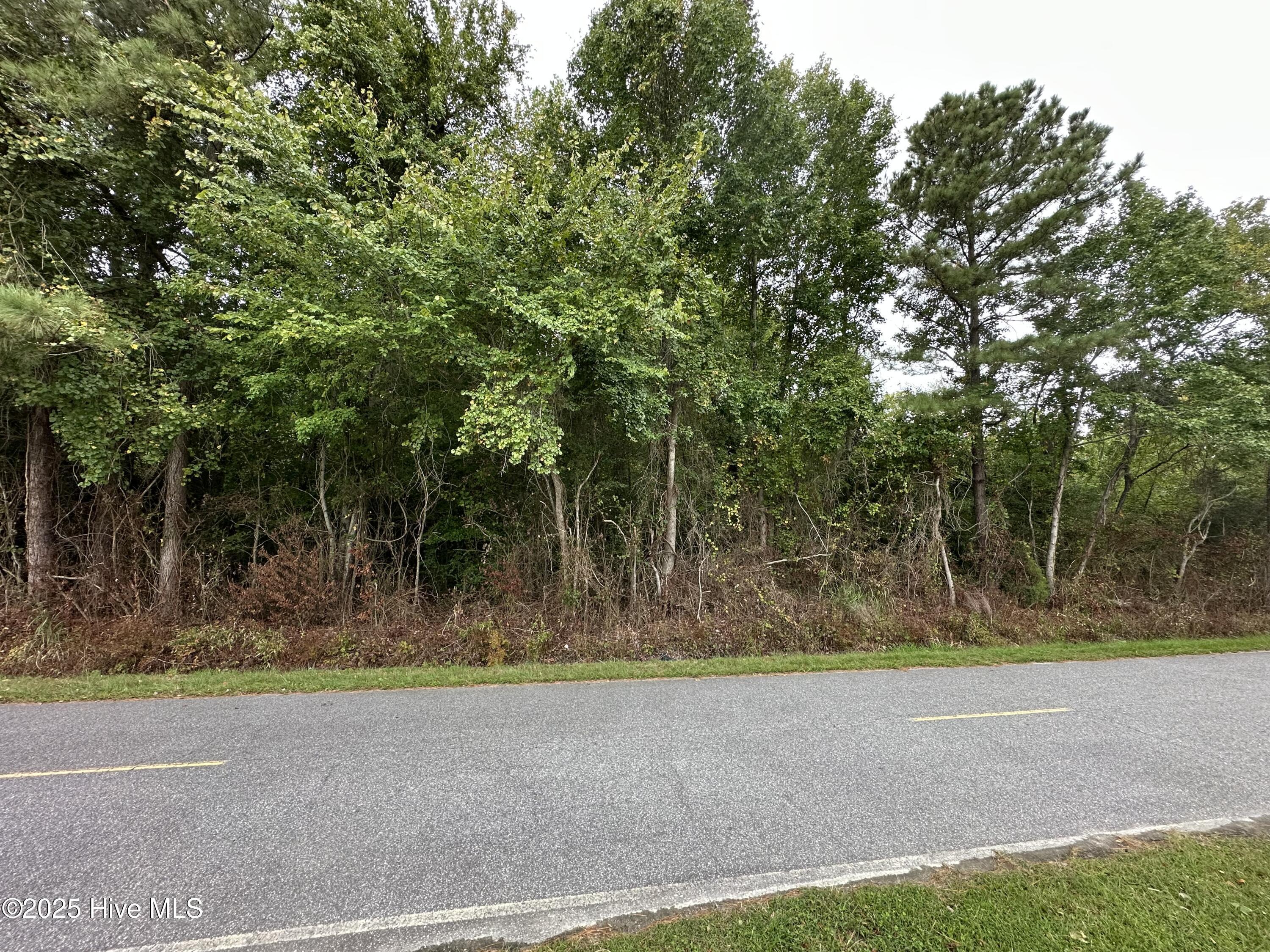 Image 1: IMG_8789