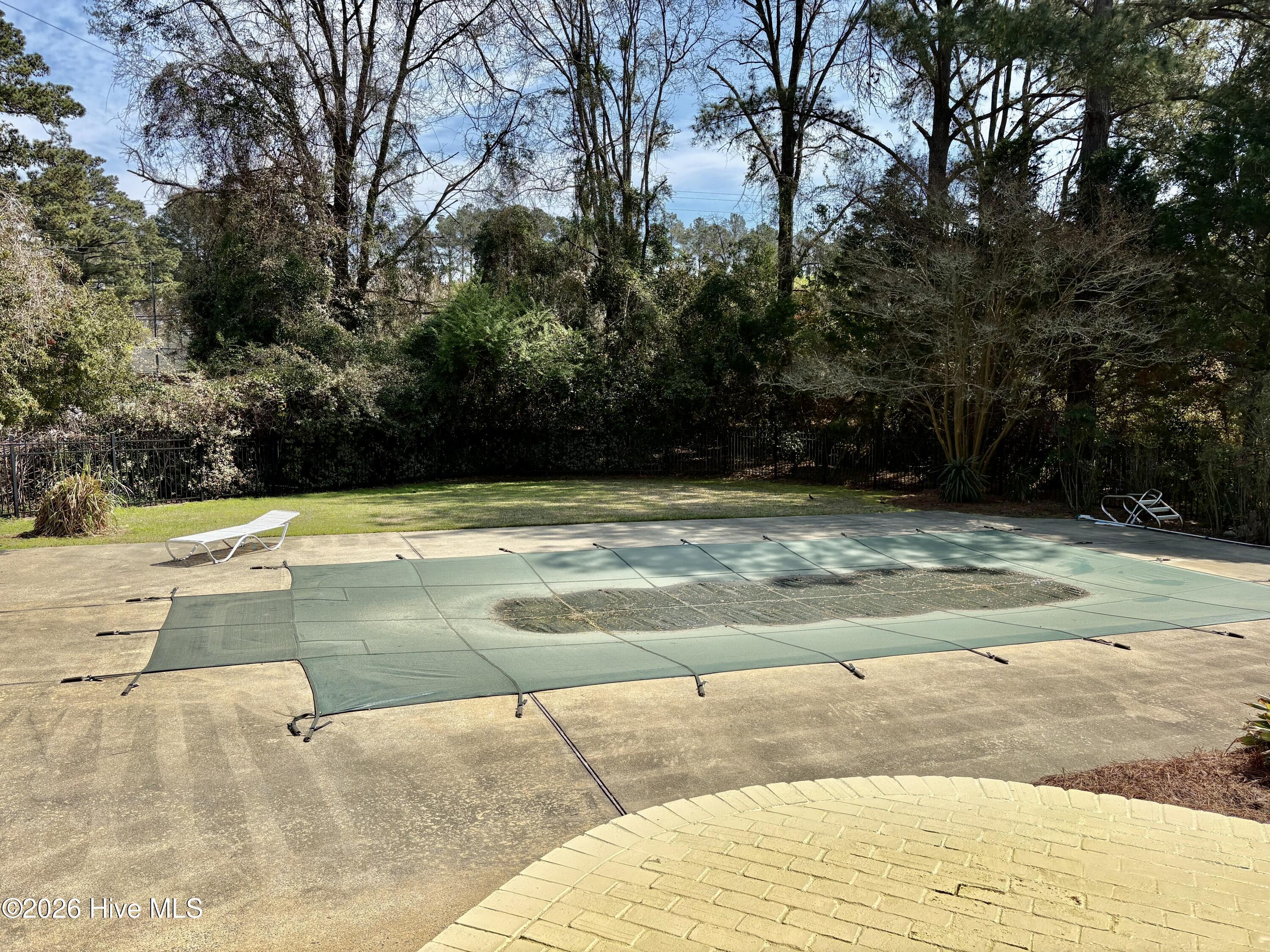 Image 3: In ground pool