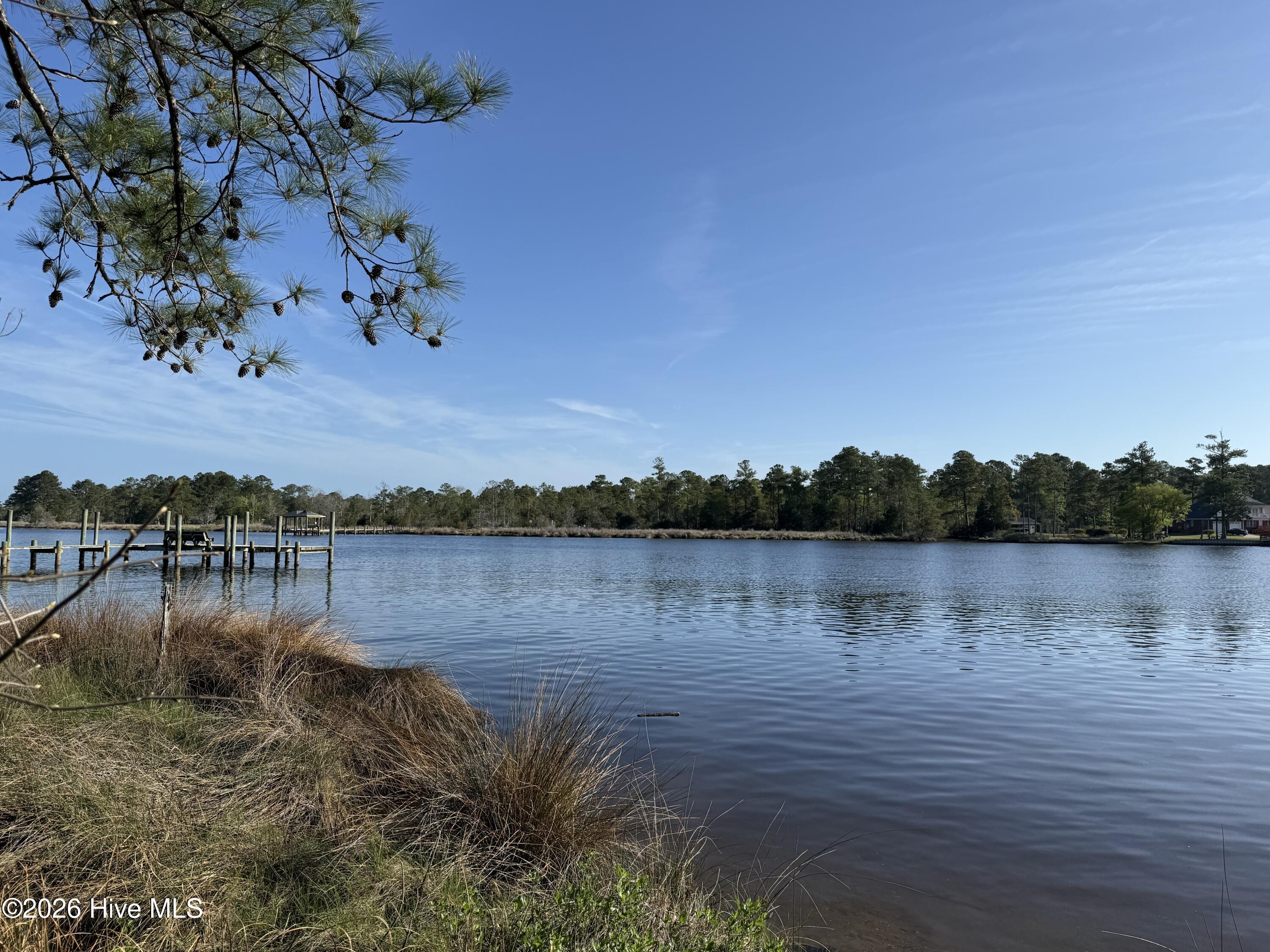 Image 2: IMG_0827