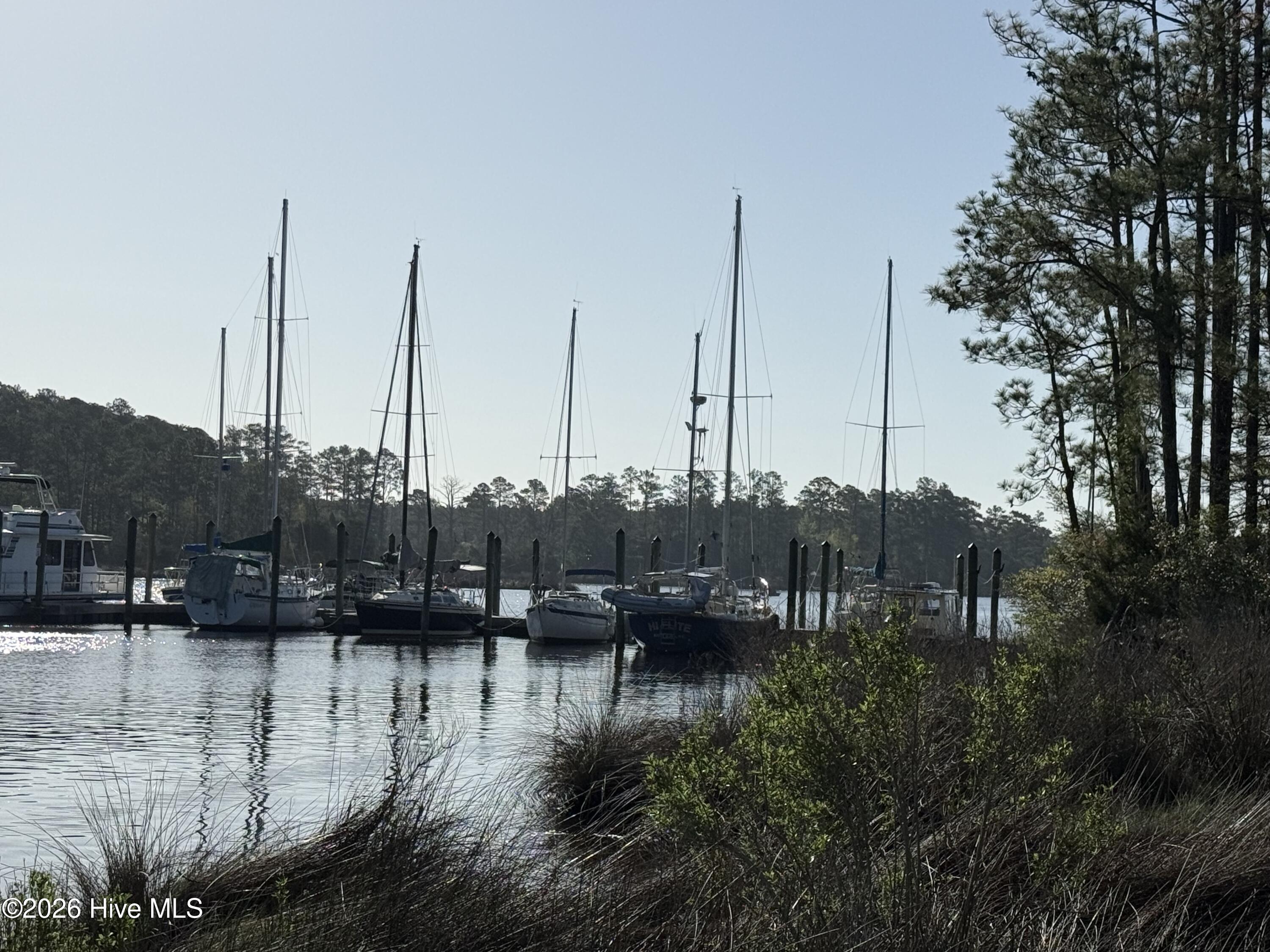 Image 4: IMG_0831