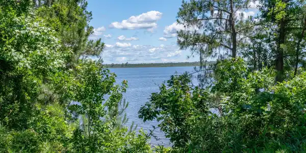 Image 4: mls_1306 Green Springs-4