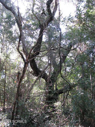 Image 4: 20160115074019247135000000-o