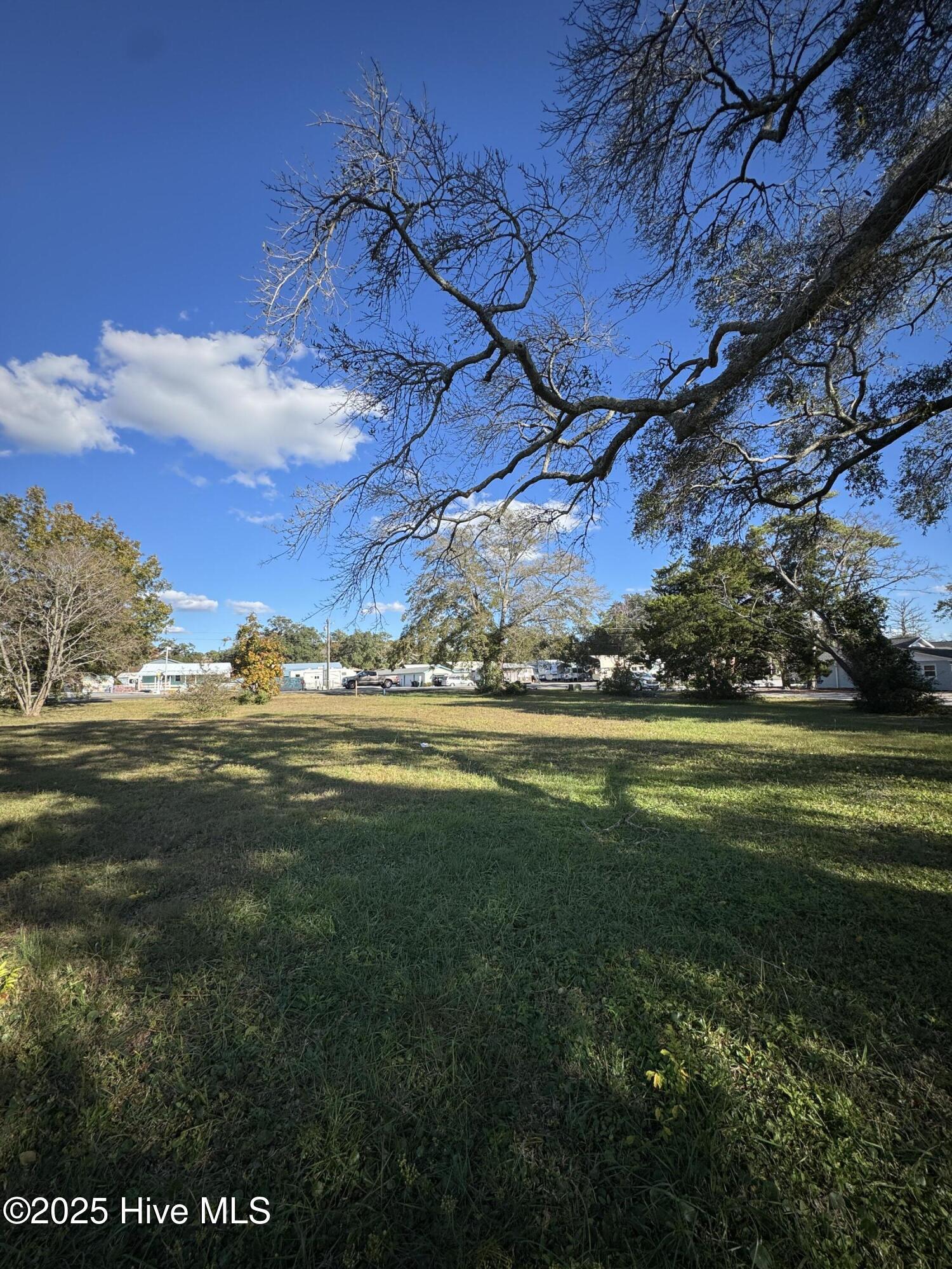 Image 3: IMG_8921