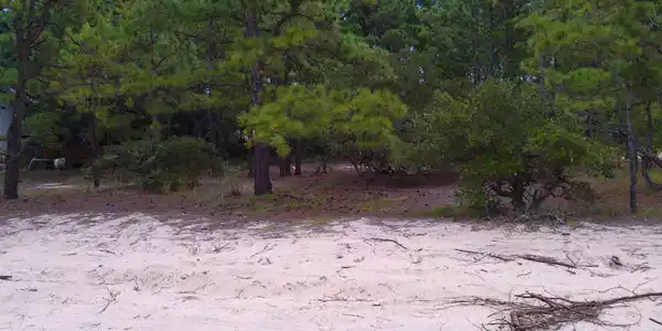 2327 False Cape Road