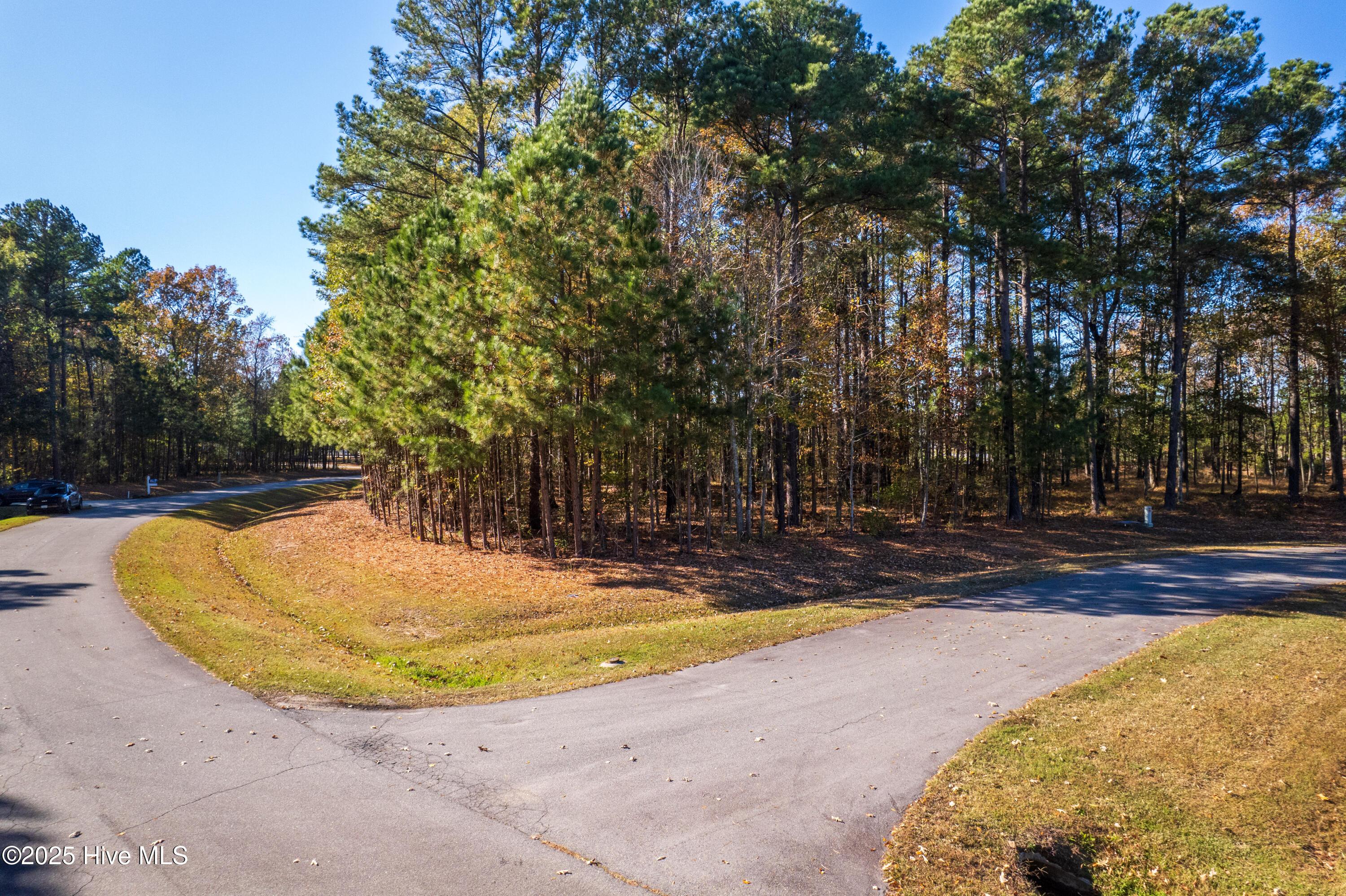 Image 2: lot-1