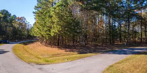 Image 2: lot-1