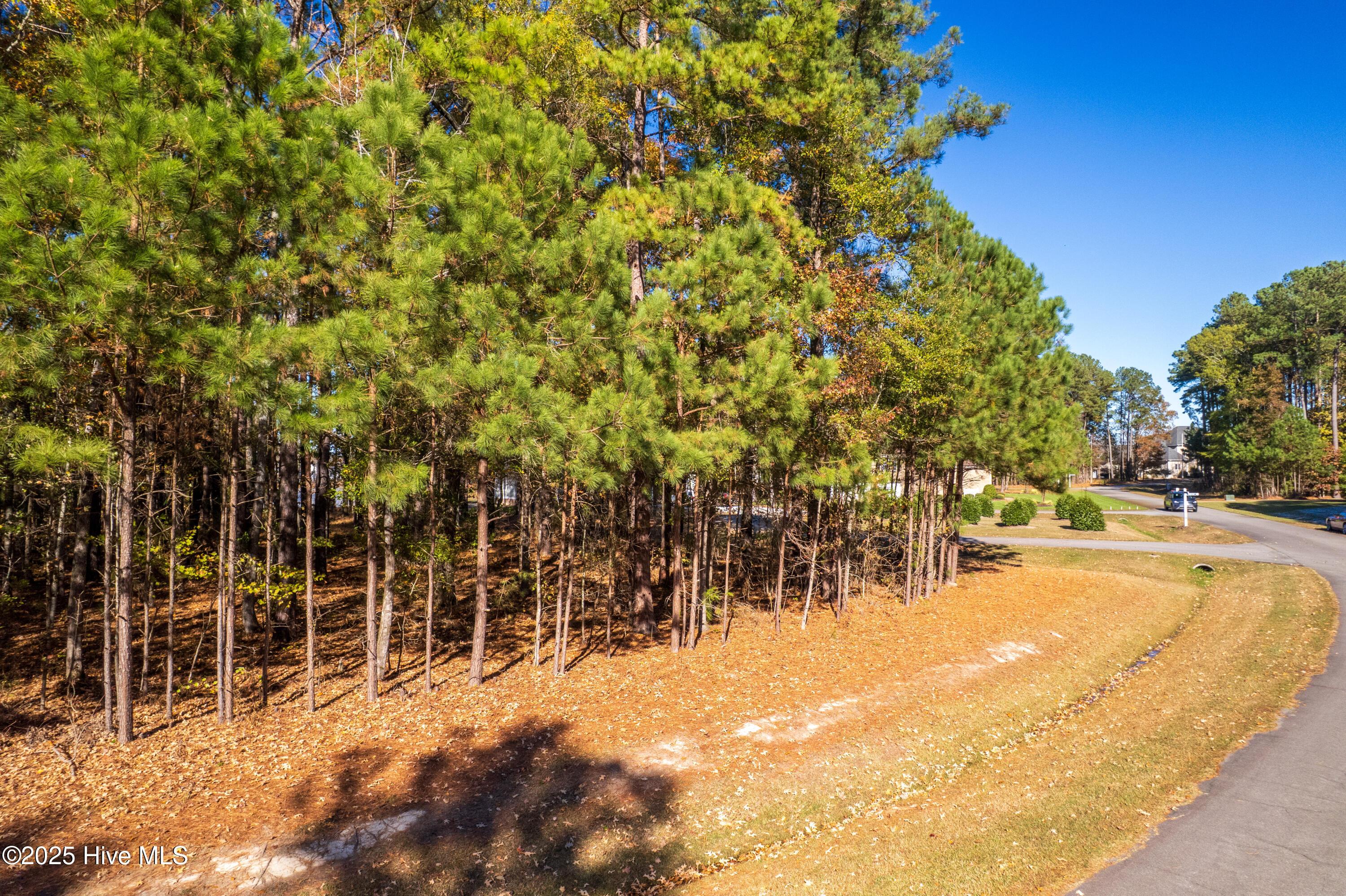 Image 3: lot-4