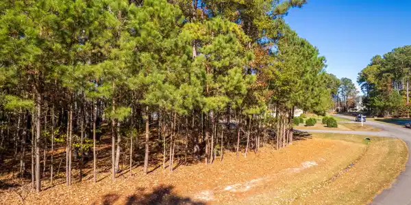 Image 3: lot-4