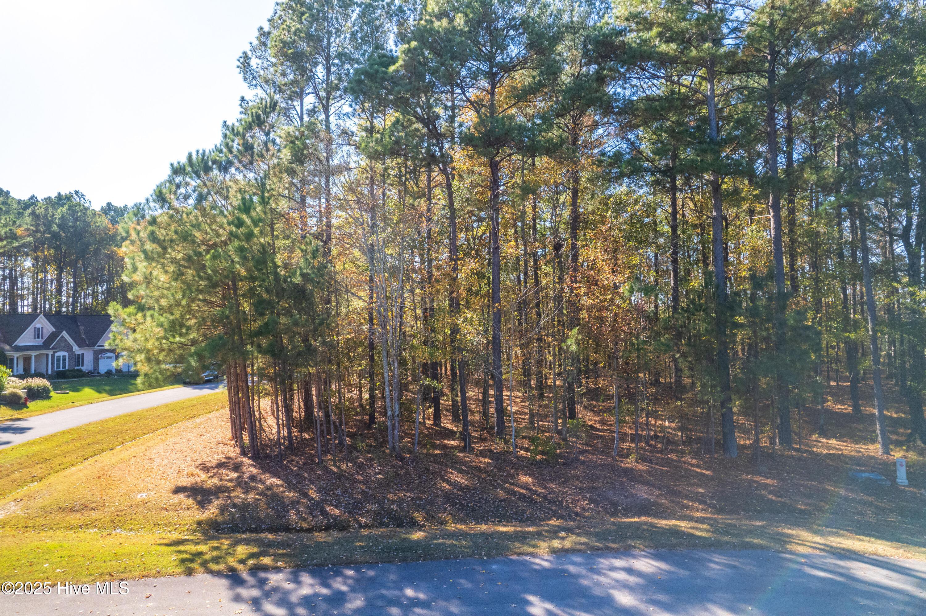 Image 4: lot-5