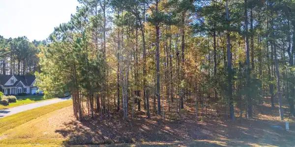 Image 4: lot-5