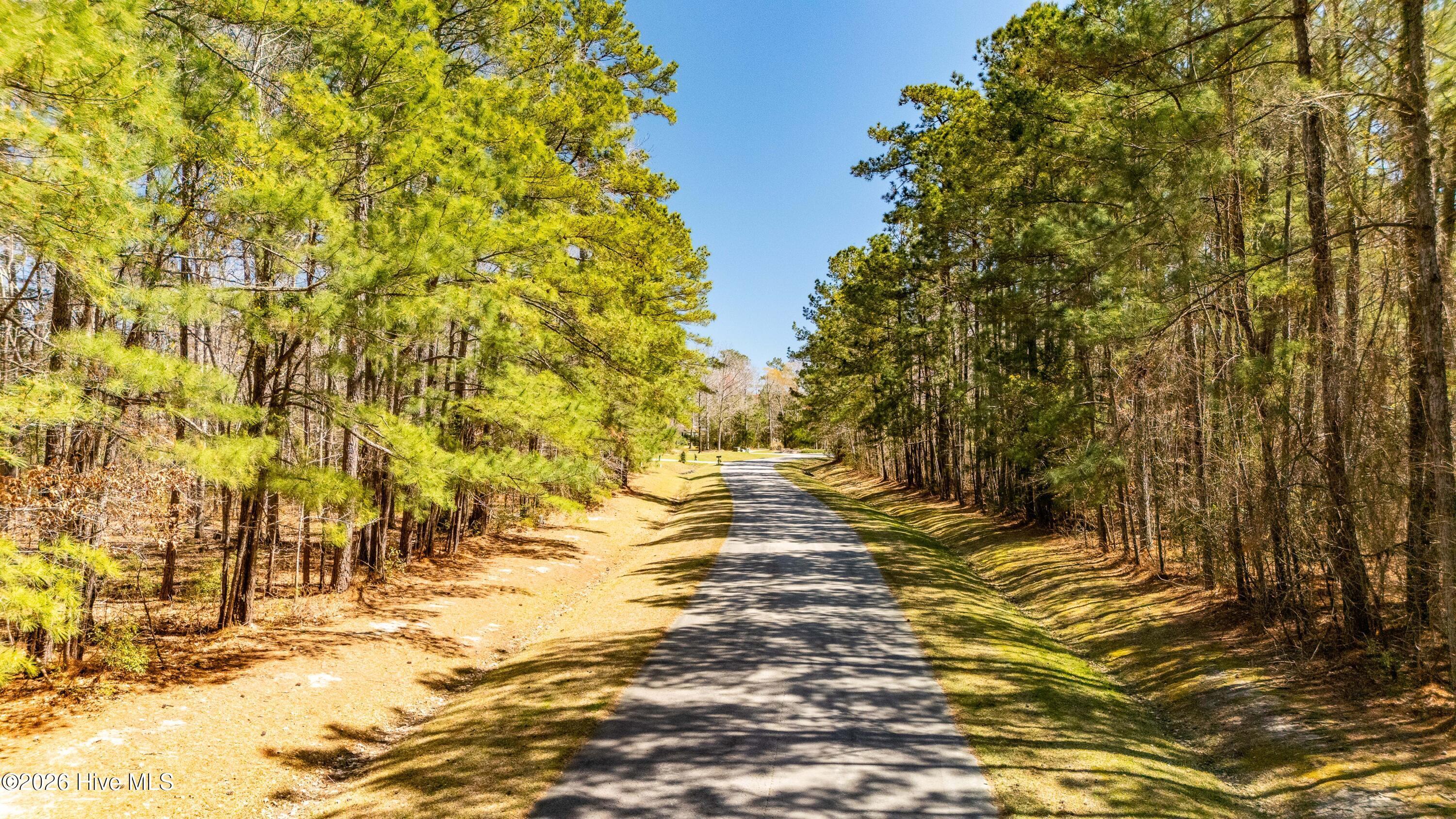 Image 3: 003_Road view