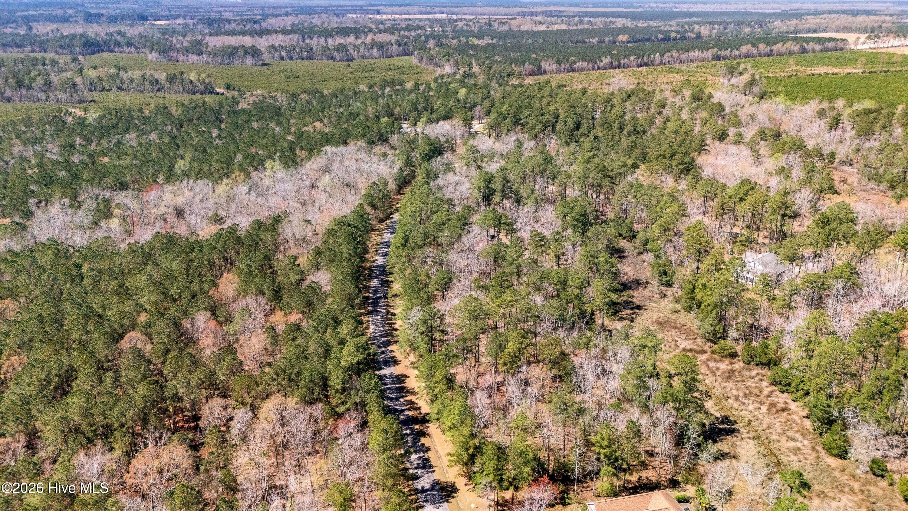 Image 4: 004_Aerial View