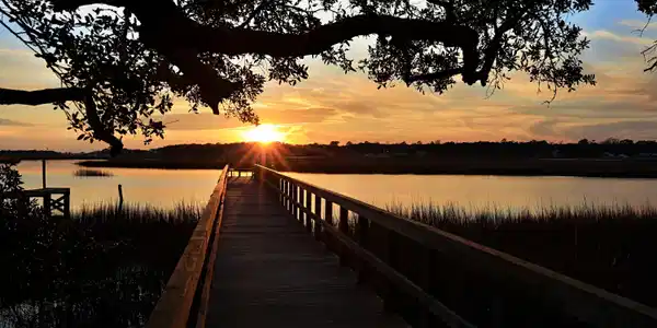Image 3: pier
