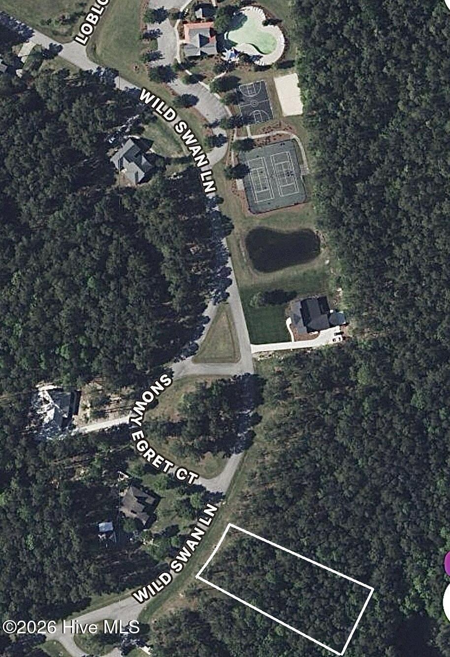 Image 2: lot 117